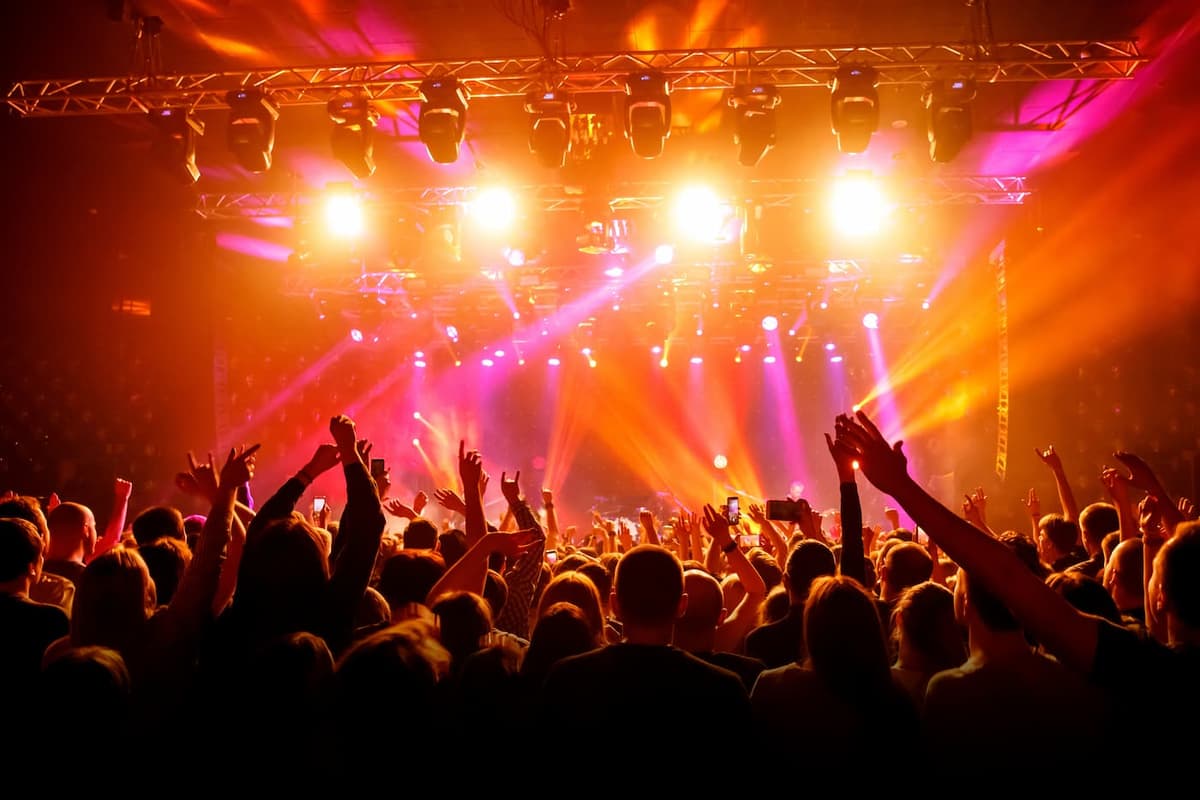 Concert audience.